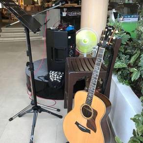 Taylor Guitar- Limited Edition 818e
