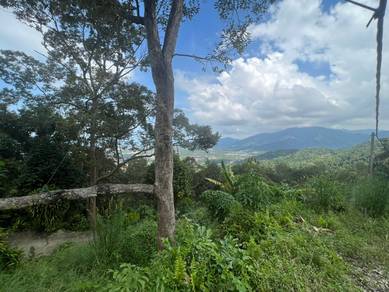 Agricultural Land in Pulau Betong, PNG