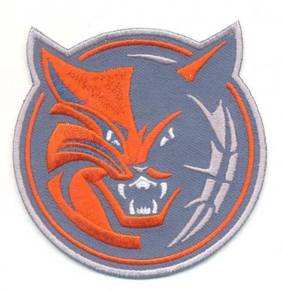 NBA Charlotte Bobcats Basketball Embroidered Patch