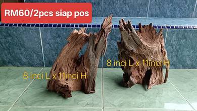 2 driftwood solid untuk aquascape kita payong