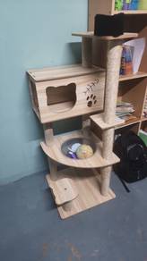 rumah kucing 