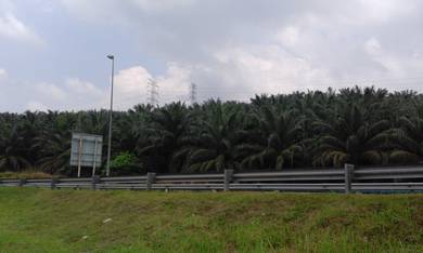 Agricultural Land in Bentong, PHG