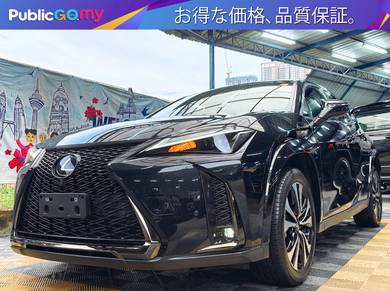 Lexus NX 250 LUXURY in Petaling Jaya, SGR