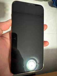 12 Pro Max (256GB)