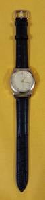 Watch @  ALDO