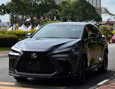 2022 Lexus NX 350 F SPORT