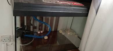 Set Lengkap AQUARIUM - medium size