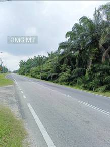 Agricultural Land in Telok Panglima Garang, SGR