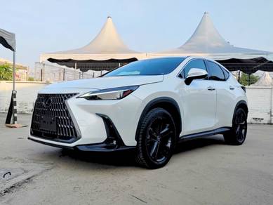 2023 Lexus NX 250 LUXURY