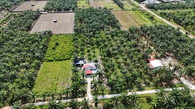Agricultural Land in Kuala Selangor, SGR
