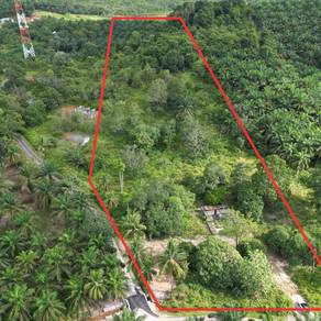 Agricultural Land in Others, JHR