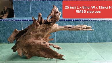 kayu hiasan aquarium - Driftwood TENGGELAM