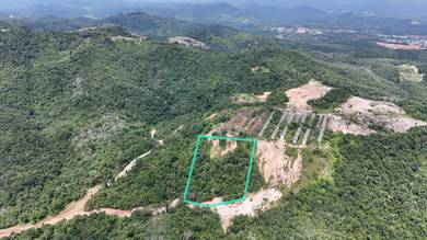 Agricultural Land in Kuala Pilah, NSN