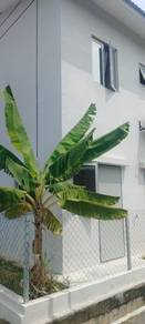 Terraced House For Sale in Salak Tinggi,SGR