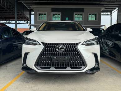 2022 Lexus NX 250 LUXURY