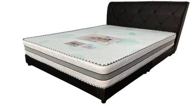 Queen Bed Set With 9INCH Oxen Spring Mattress M399