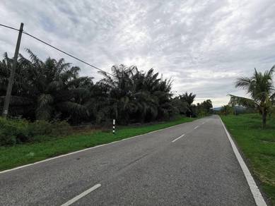 Agricultural Land in Batu Pahat, JHR