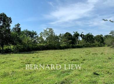 Agricultural Land in Kulim, KDH