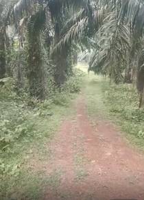 Agricultural Land in Paya Rumput, MLK