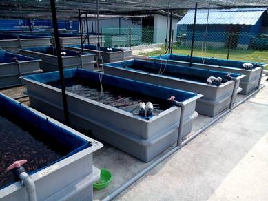 Fiberglass Fish Tank / Hatchery Tank