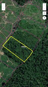 Agricultural Land in Kota Kinabalu, SBH