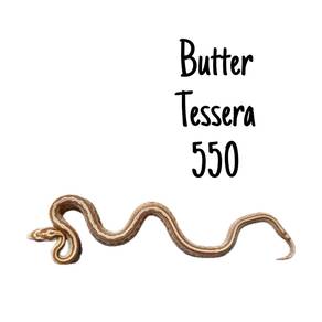 Corn Snake (E.Butter tessera)