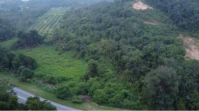 Agricultural Land in Kuala Ketil, KDH