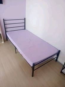 tilam single foam
