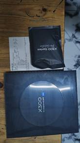 vivo x300