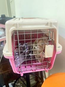 pet carry