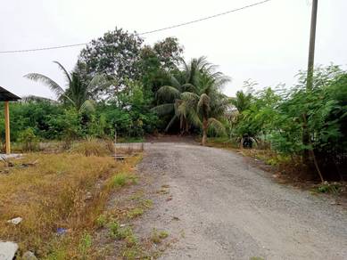 Residential Land in Pekan, PHG