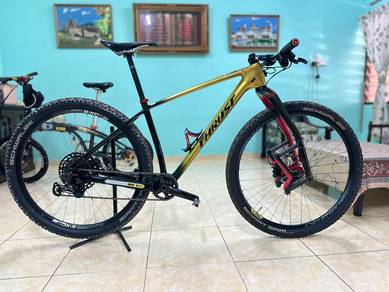 thrust custom bicyle