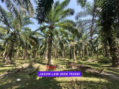 Agricultural Land in Semeling, KDH