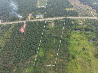 Agricultural Land in Rompin, PHG