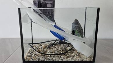 Fish Aquarium