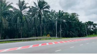 Industrial Land in Kota Tinggi, JHR