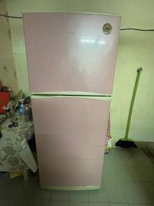 Peti Ais 2pintu 320L 
