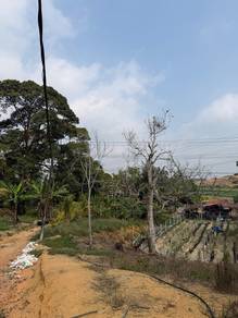 Agricultural Land in Kulai, JHR