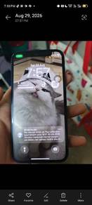swap ip 11 pro max