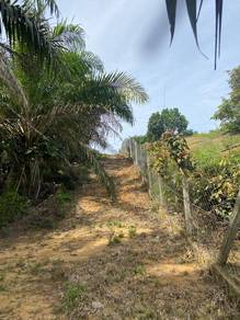 Agricultural Land in Jelebu, NSN