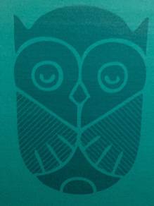 Owl On Canvas