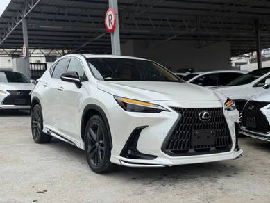 2023 Lexus NX 250 LUXURY