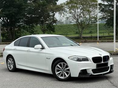 2013 BMW 520i 20i (CKD)