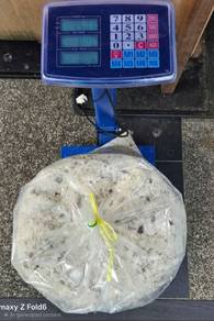 Hampas Kelapa Fermentasi 