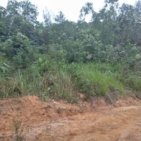 Residential Land in Seri Kembangan, SGR