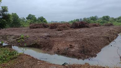 Agricultural Land in Telok Mas, MLK
