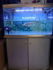 Aquarium + Cabinet