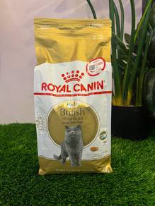 ROYAL CANIN Adult British Short Hair 2KG