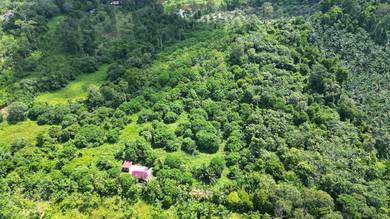 Agricultural Land in Lanchang, PHG