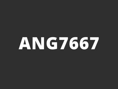 ANG7667